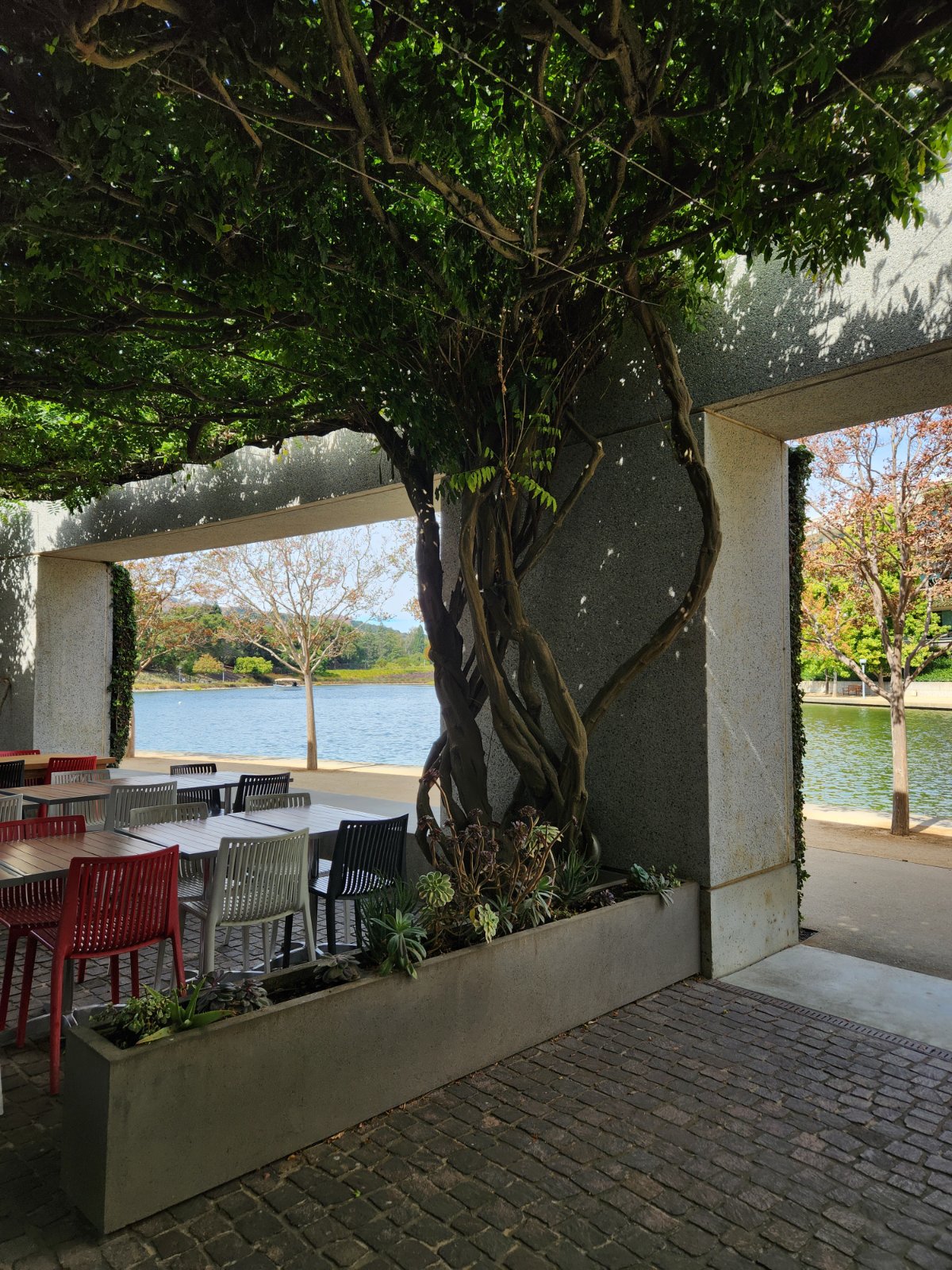 Nice space by the lake in San Ramon