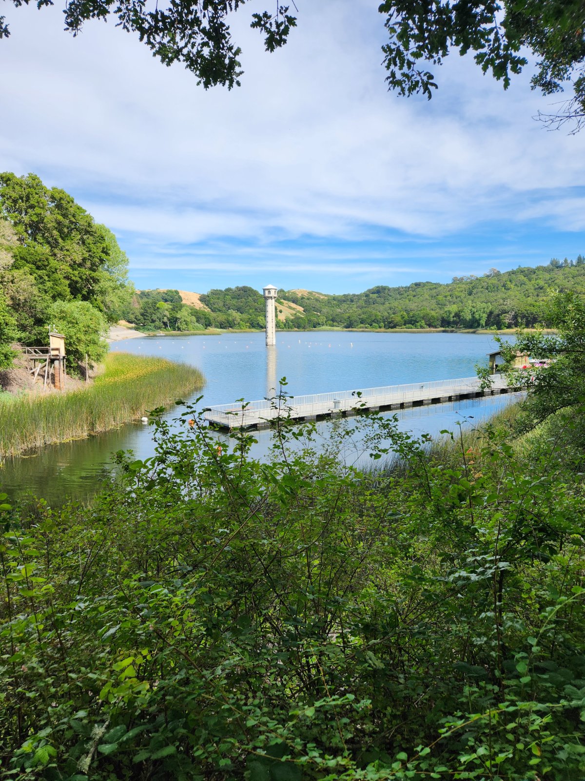 Peaceful park in Lafayette