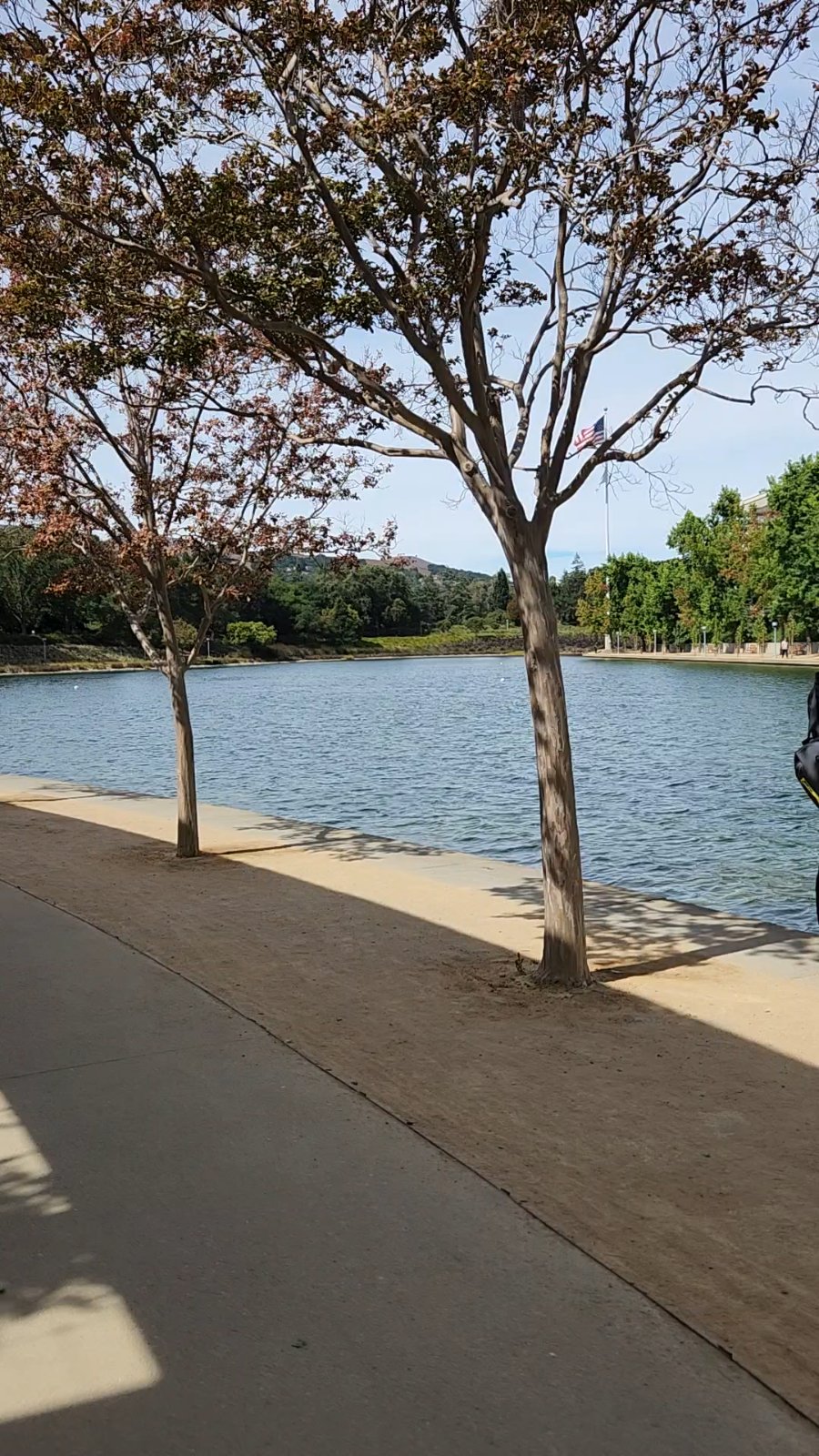 Secret fishing spot in San Ramon