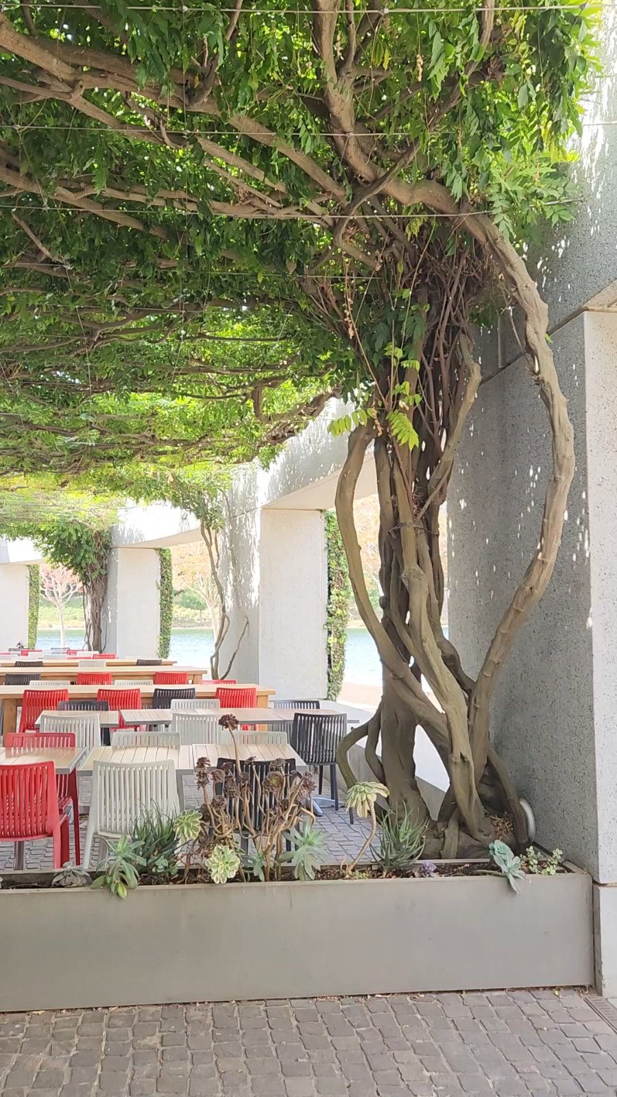 Seating area by the lake