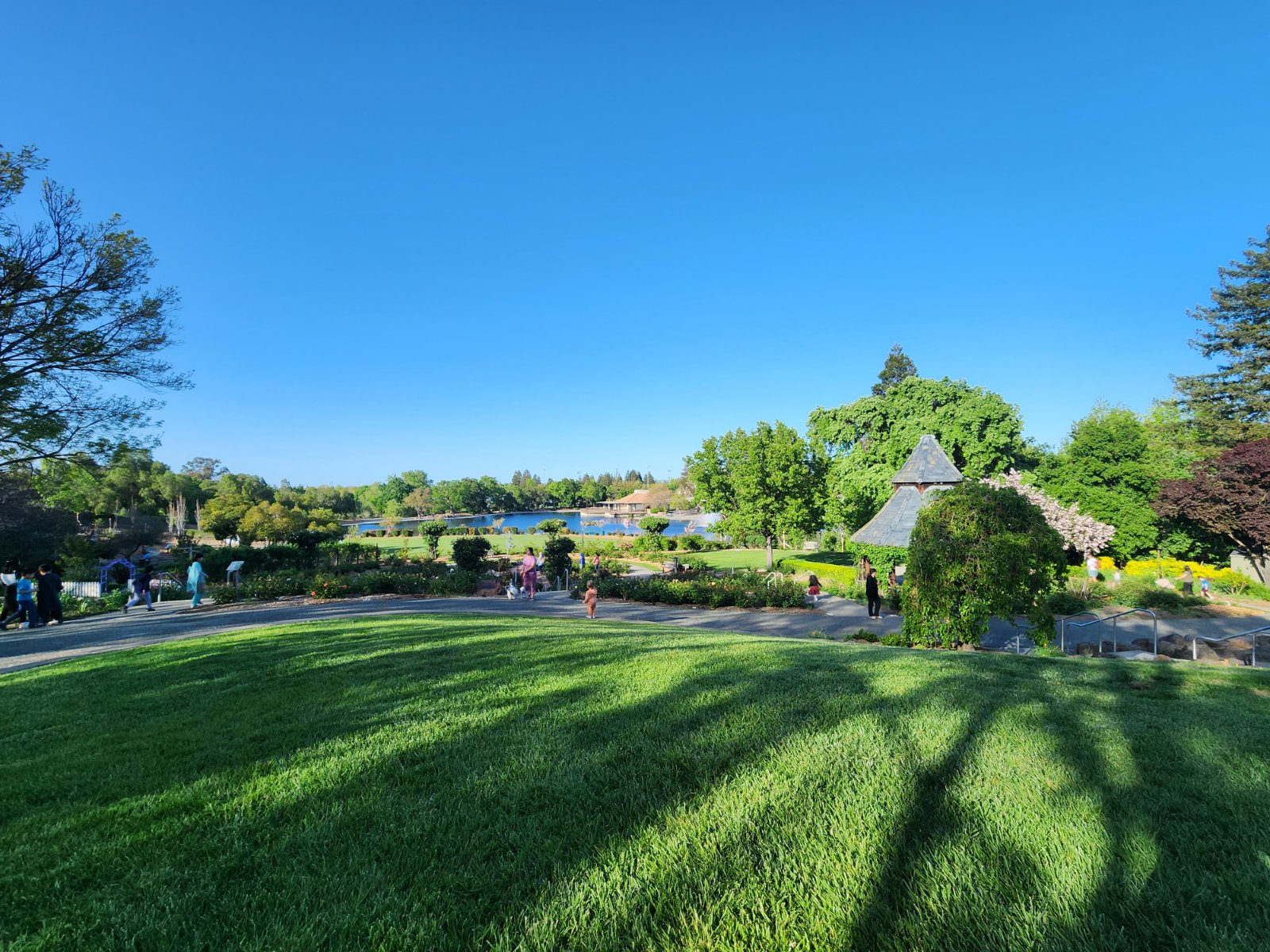 Popular park in Walnut Creek