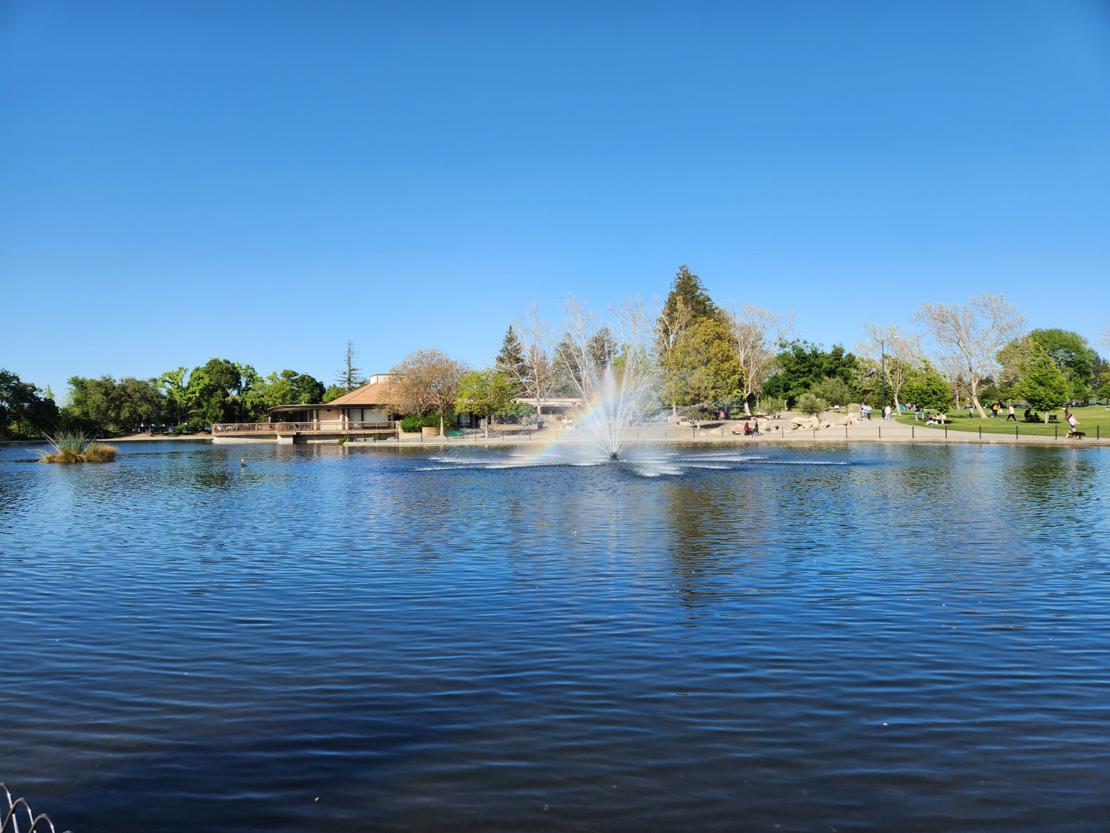 Lake in Walnut Creek